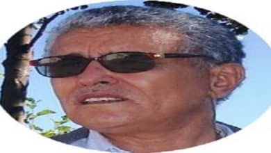 محمد الحنفي